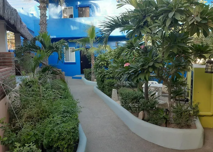 Nomad * San José del Cabo