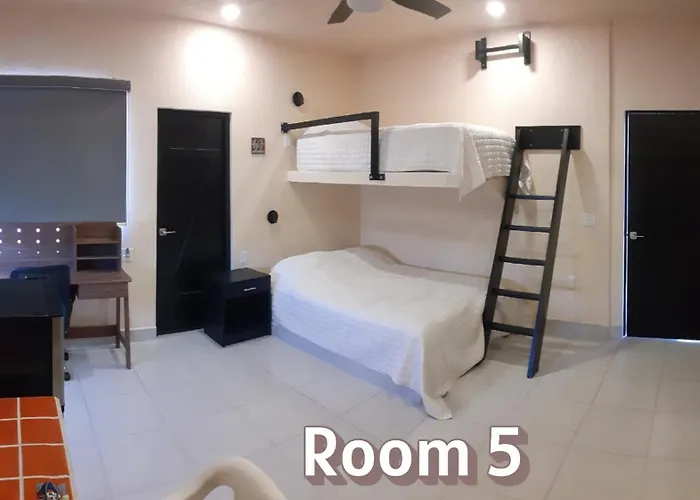 Nomad * San José del Cabo