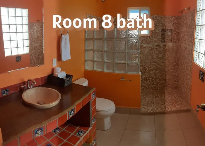 Nomad San José del Cabo